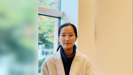 Four Year Doctoral Fellowship – Yu Pei