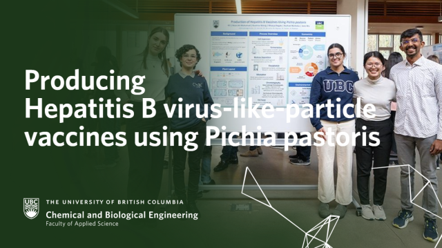Producing Hepatitis B virus-like-particle vaccines using Pichia pastoris